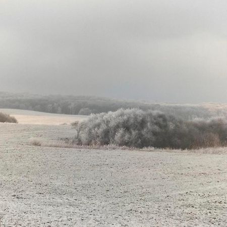 Ferienwohnung Uckermarkblick Ziehten Extérieur photo